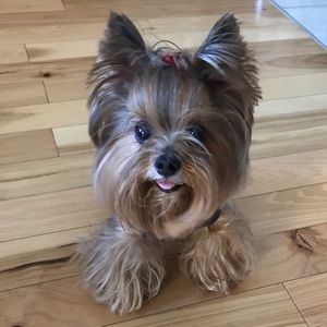 Meet your Posher, Julia